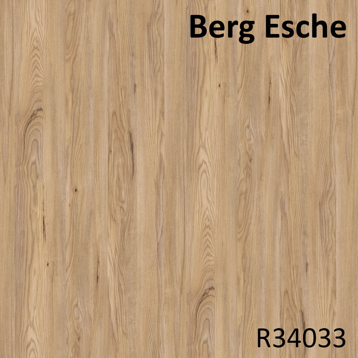 Berg Esche - R34033
