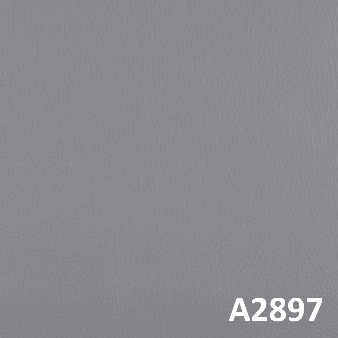 A2897