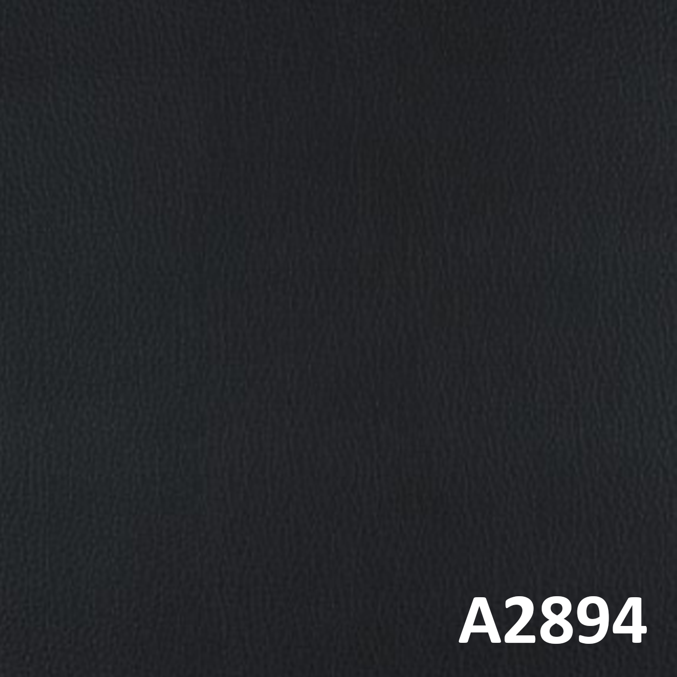A2894