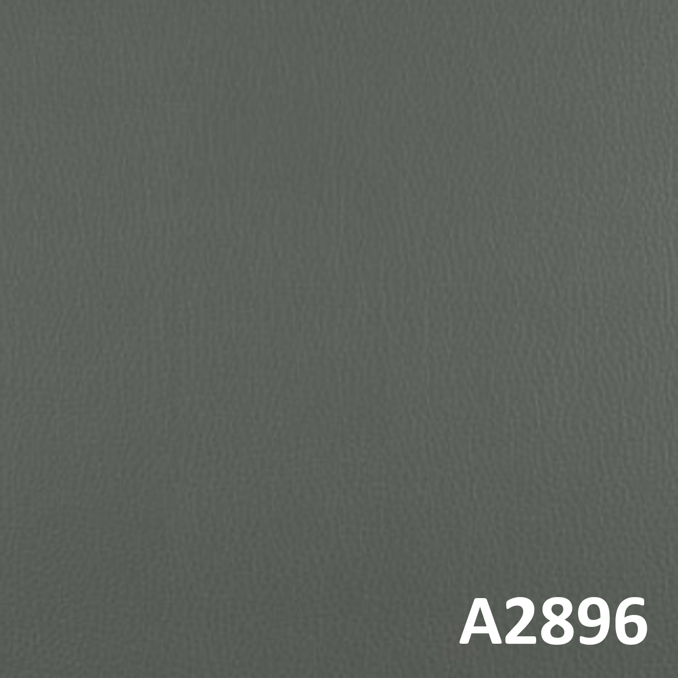 A2896