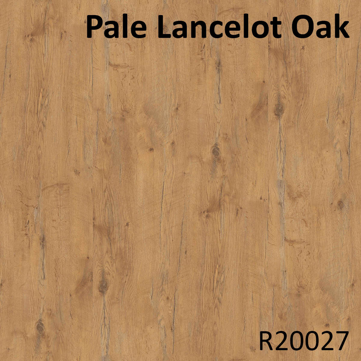 Pale Lancelot Oak - R20027