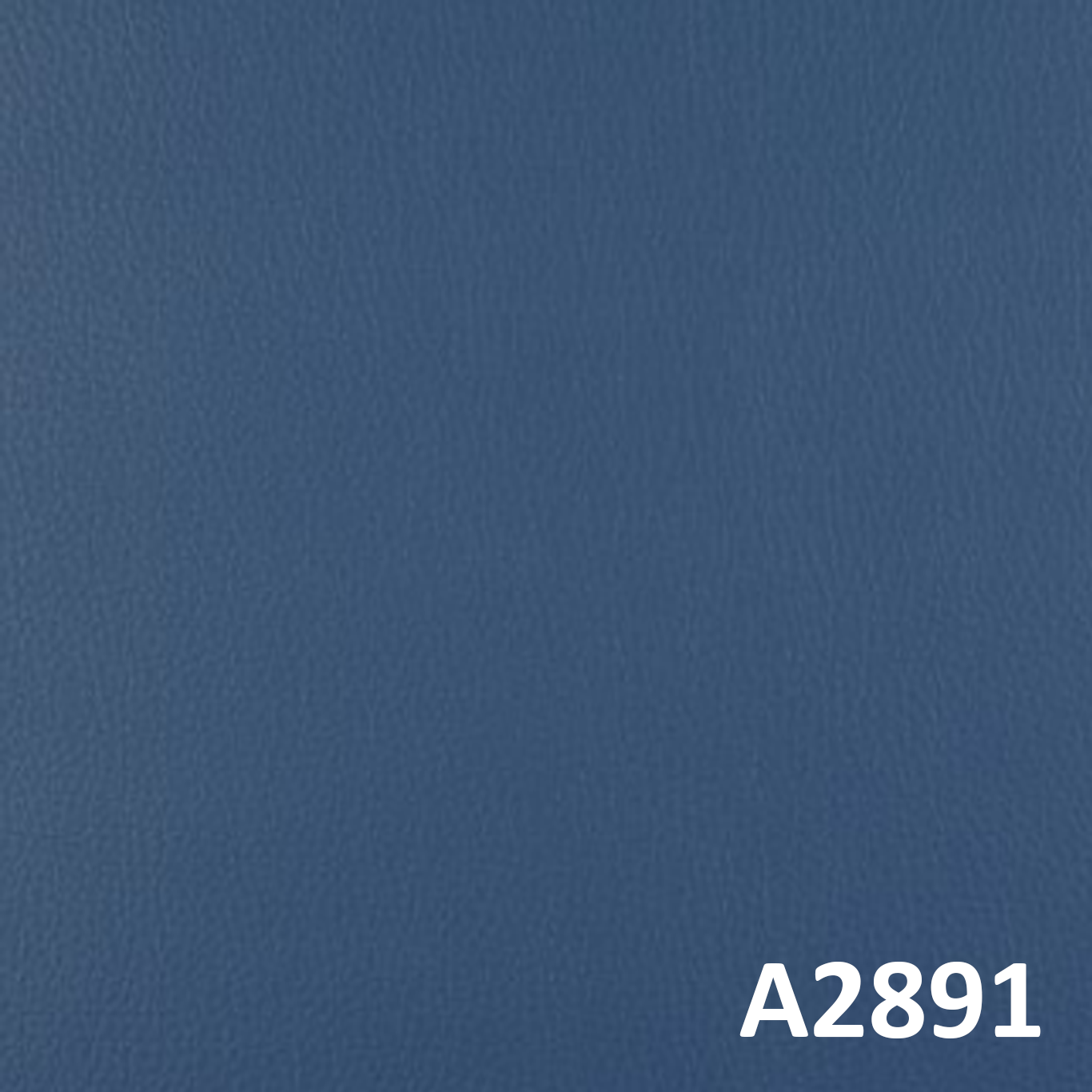 A2891