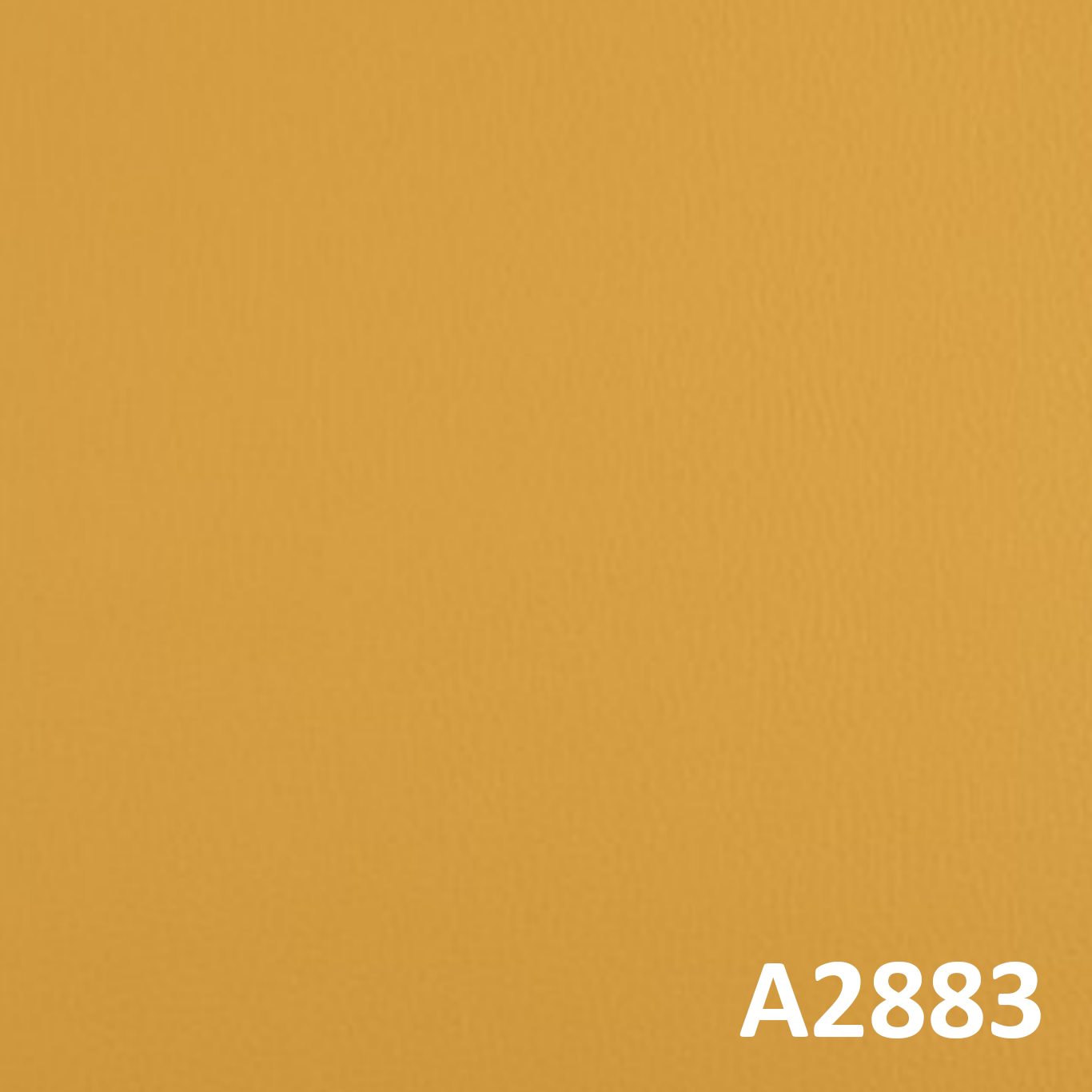 A2883