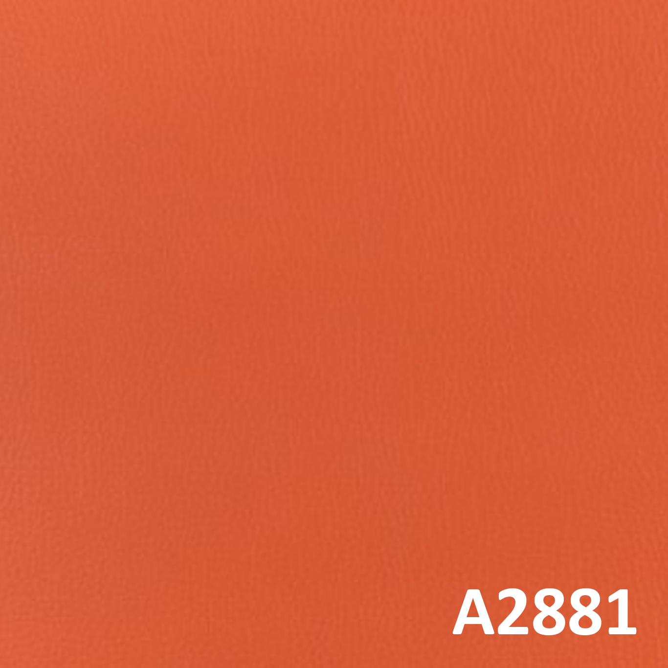 A2881