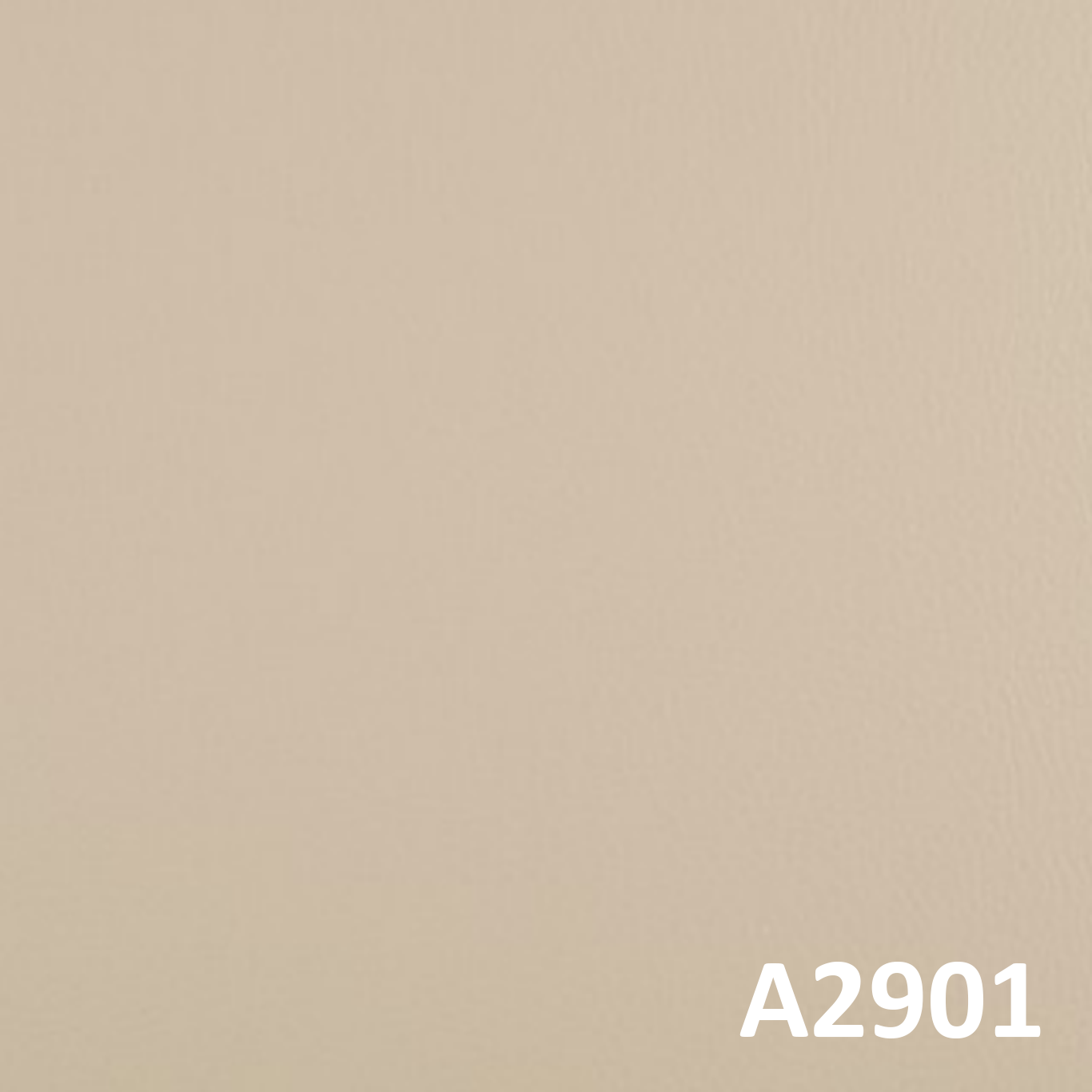 A2901