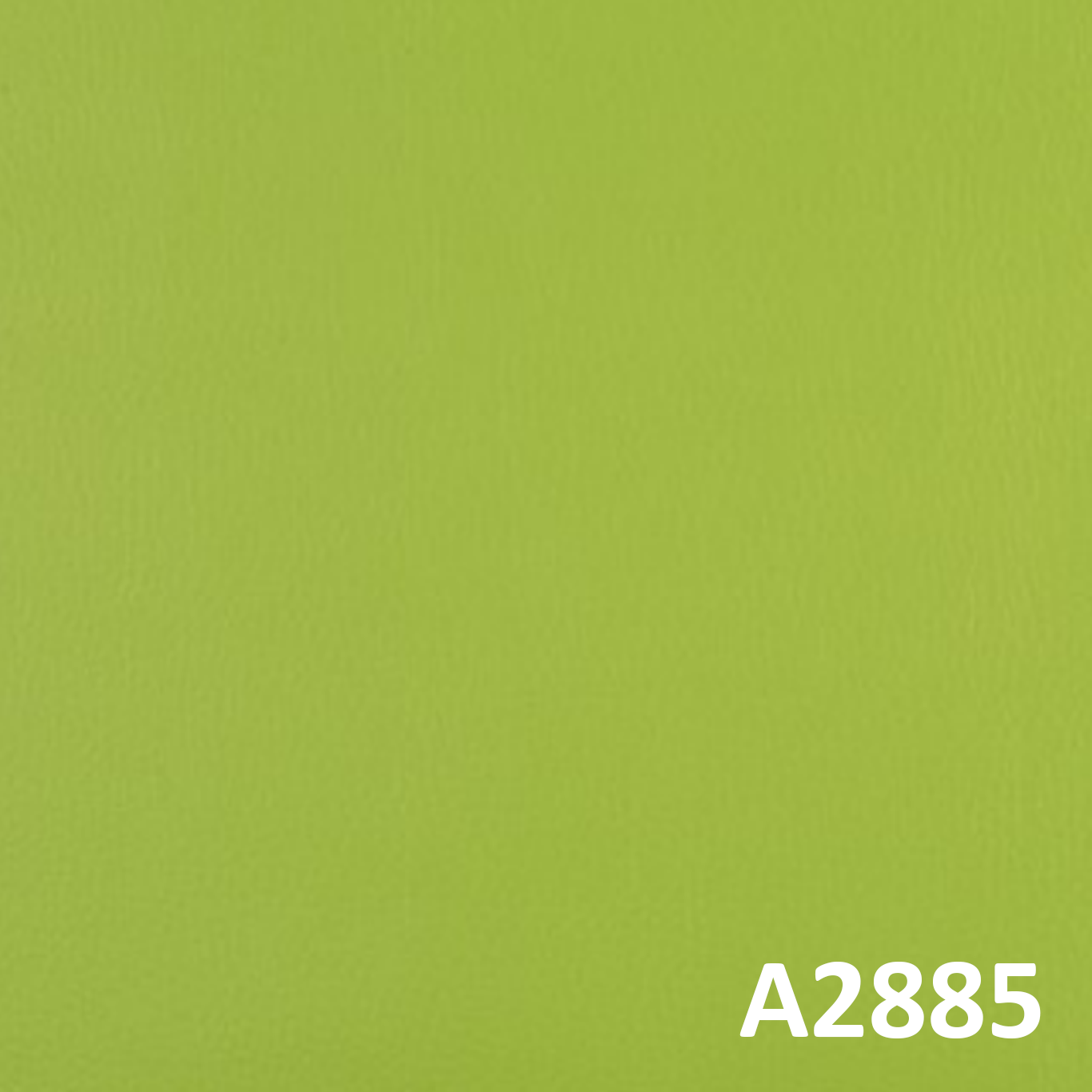 A2885