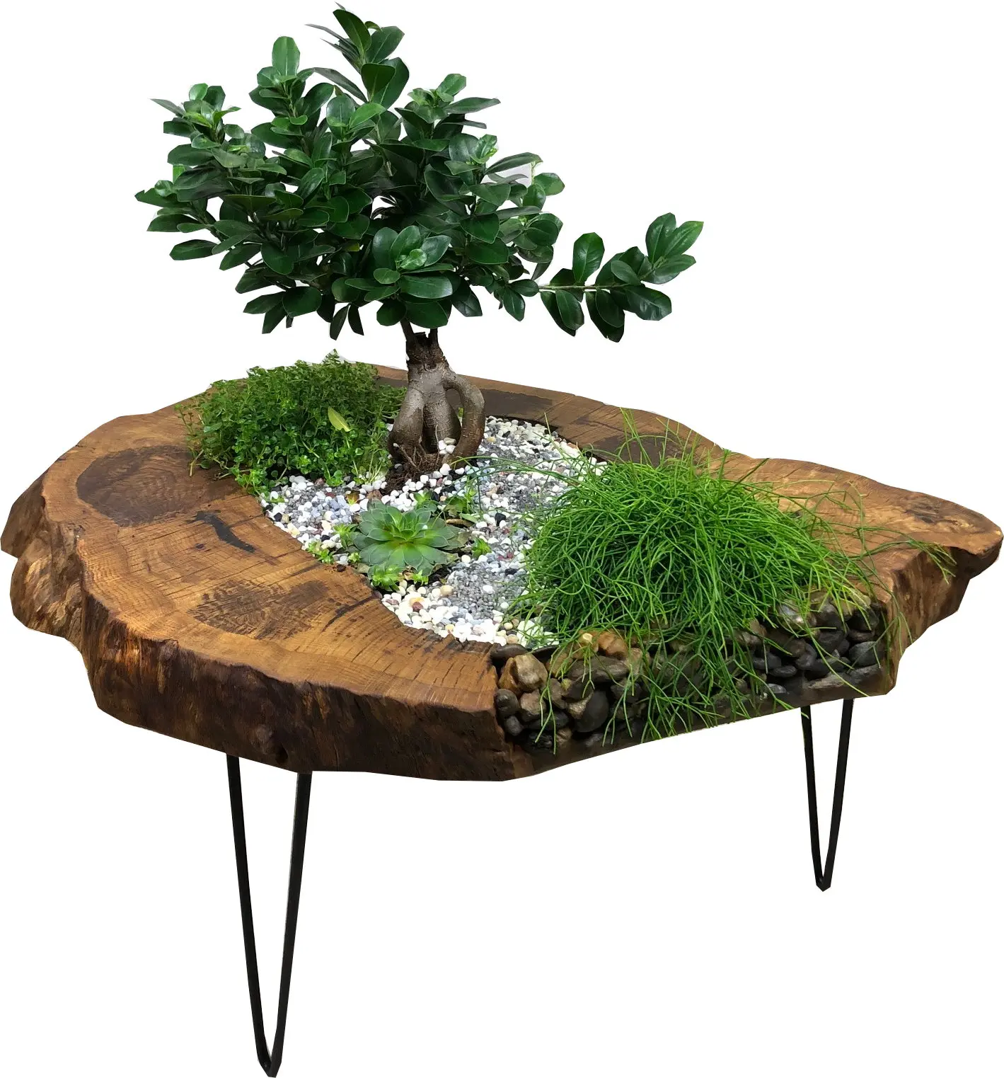 Botanik-Lounge-Deko-Tisch-Massivholz-Unikat_G-1013-1024 Botanik Lounge Deko Tisch Massivholz Unikat