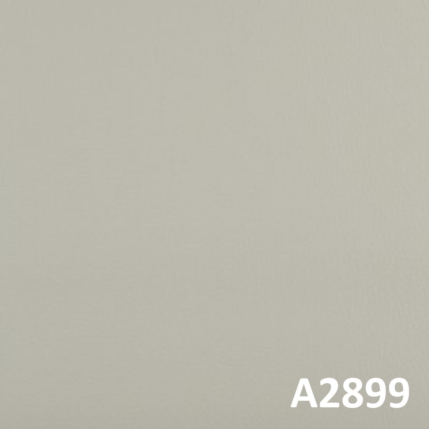 A289