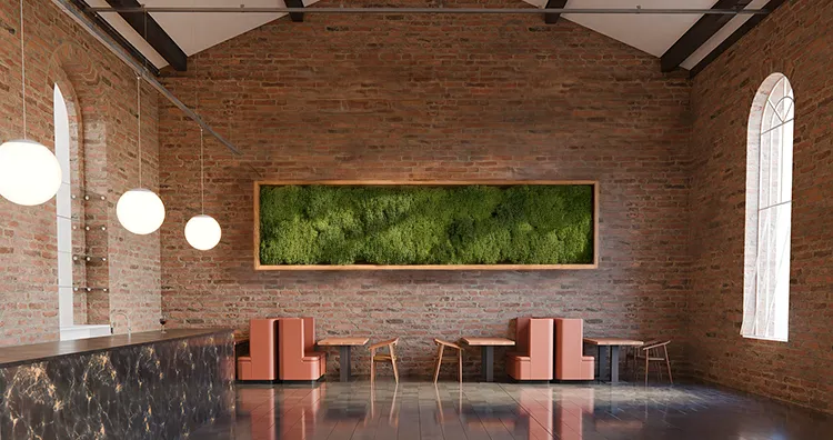 Cataleya 2- Raum - 1500