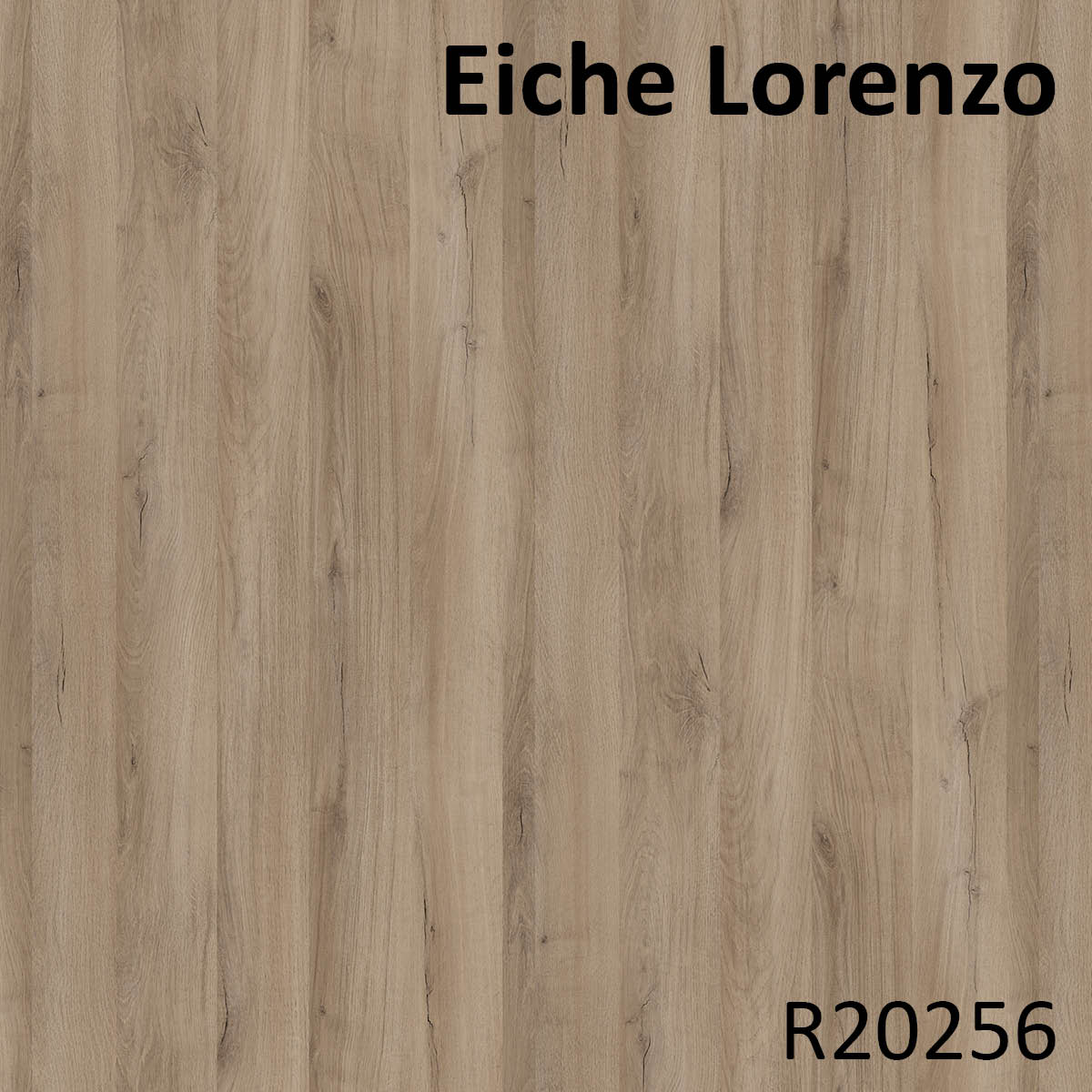 Eiche Lorenzo - R20256