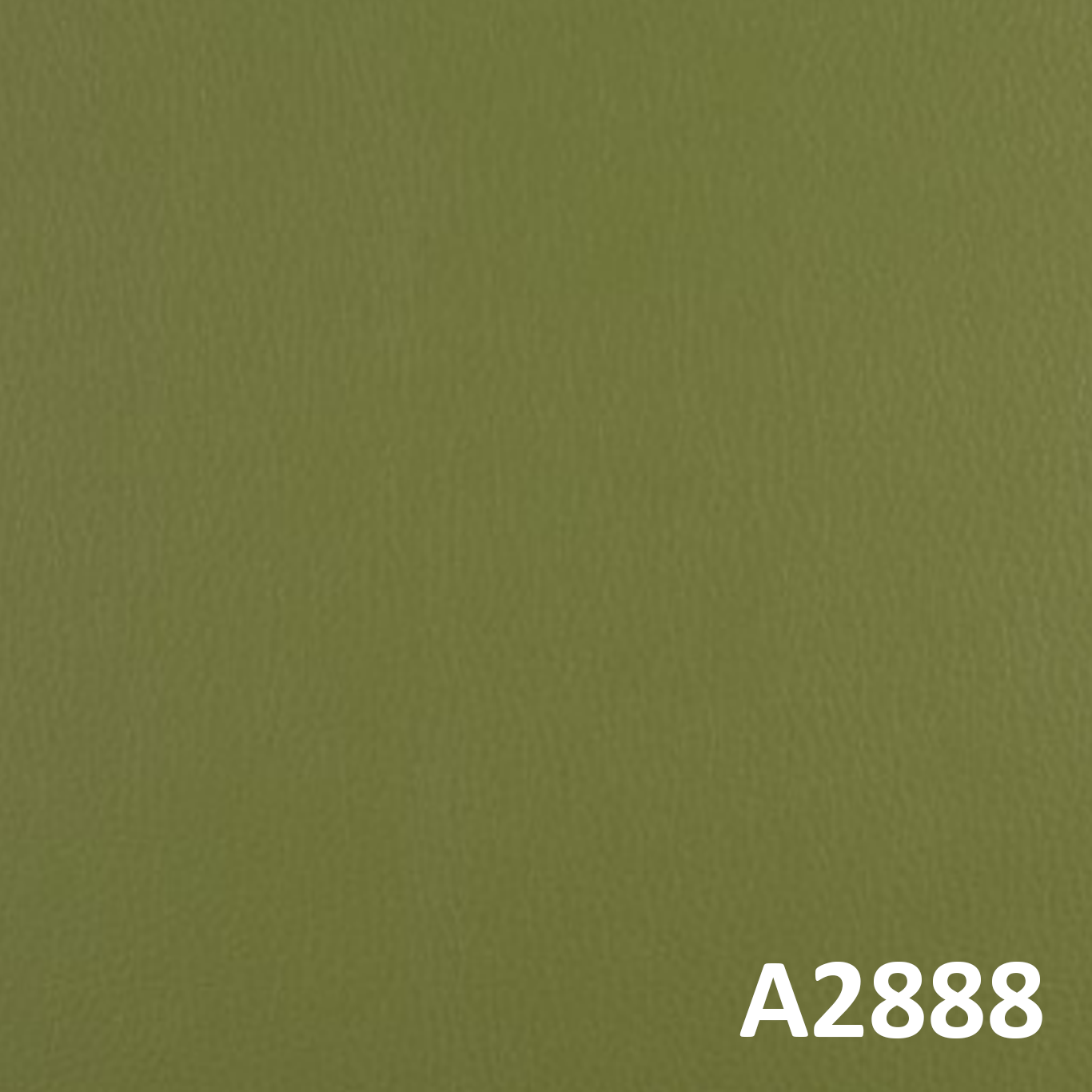 A2888