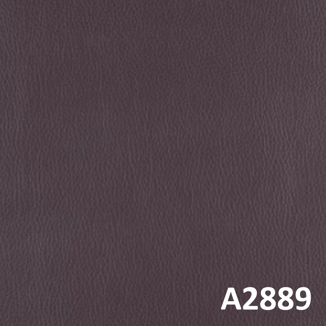 A2889
