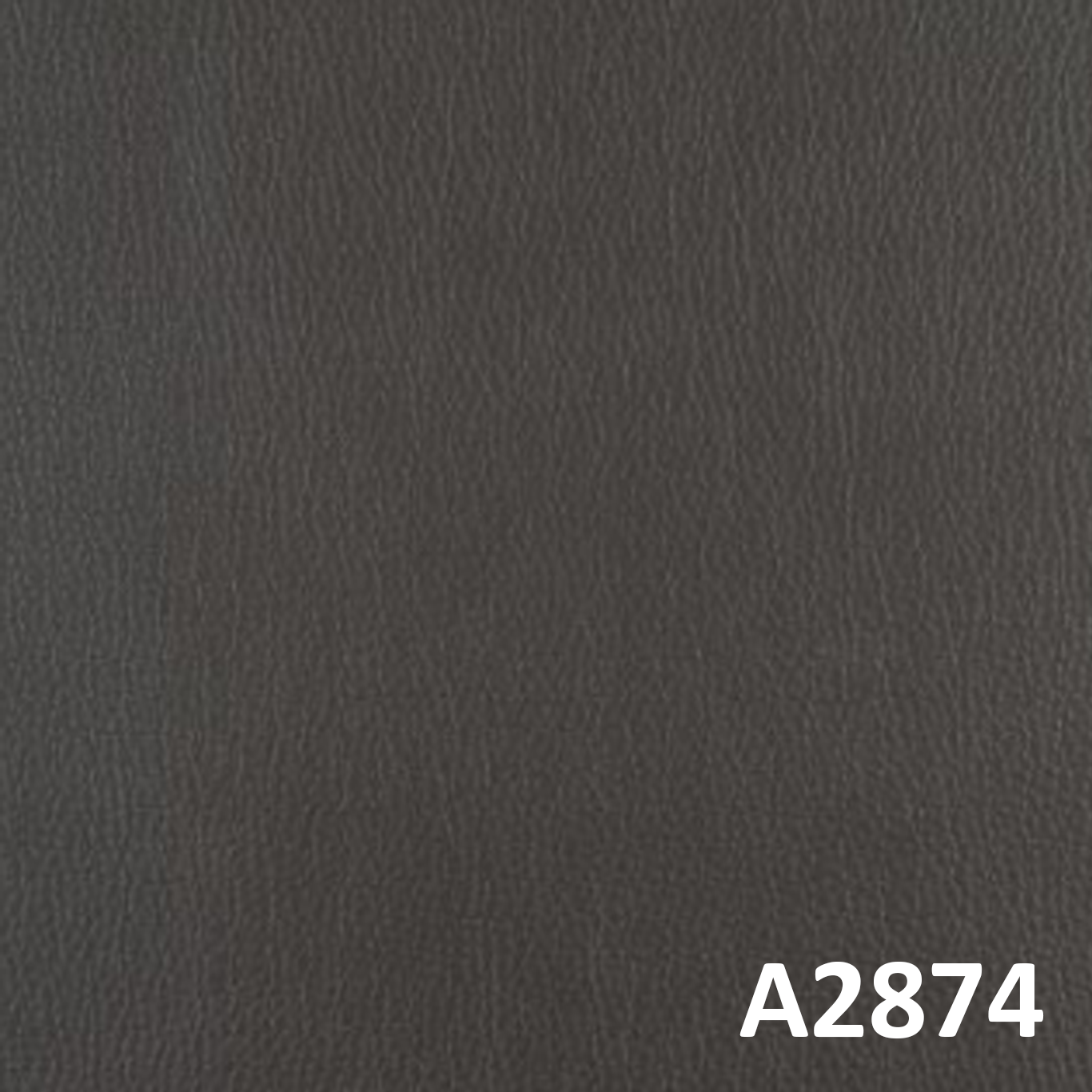 A2874