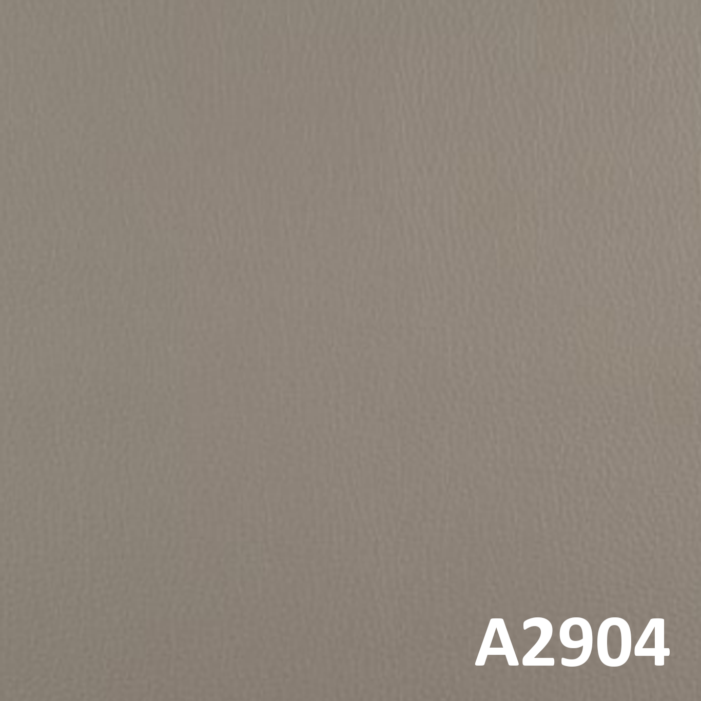 A2904