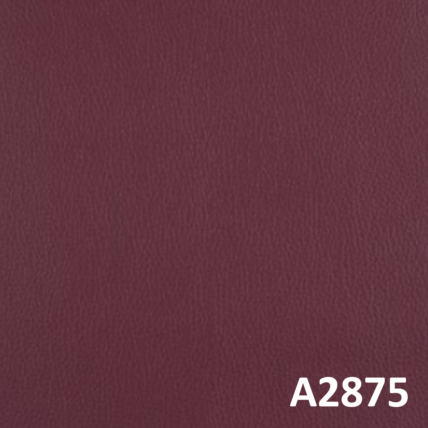 A2875