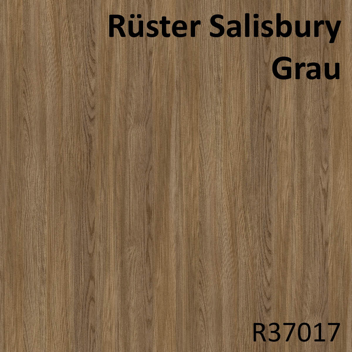 Rüster Salisbury Grau - R37017